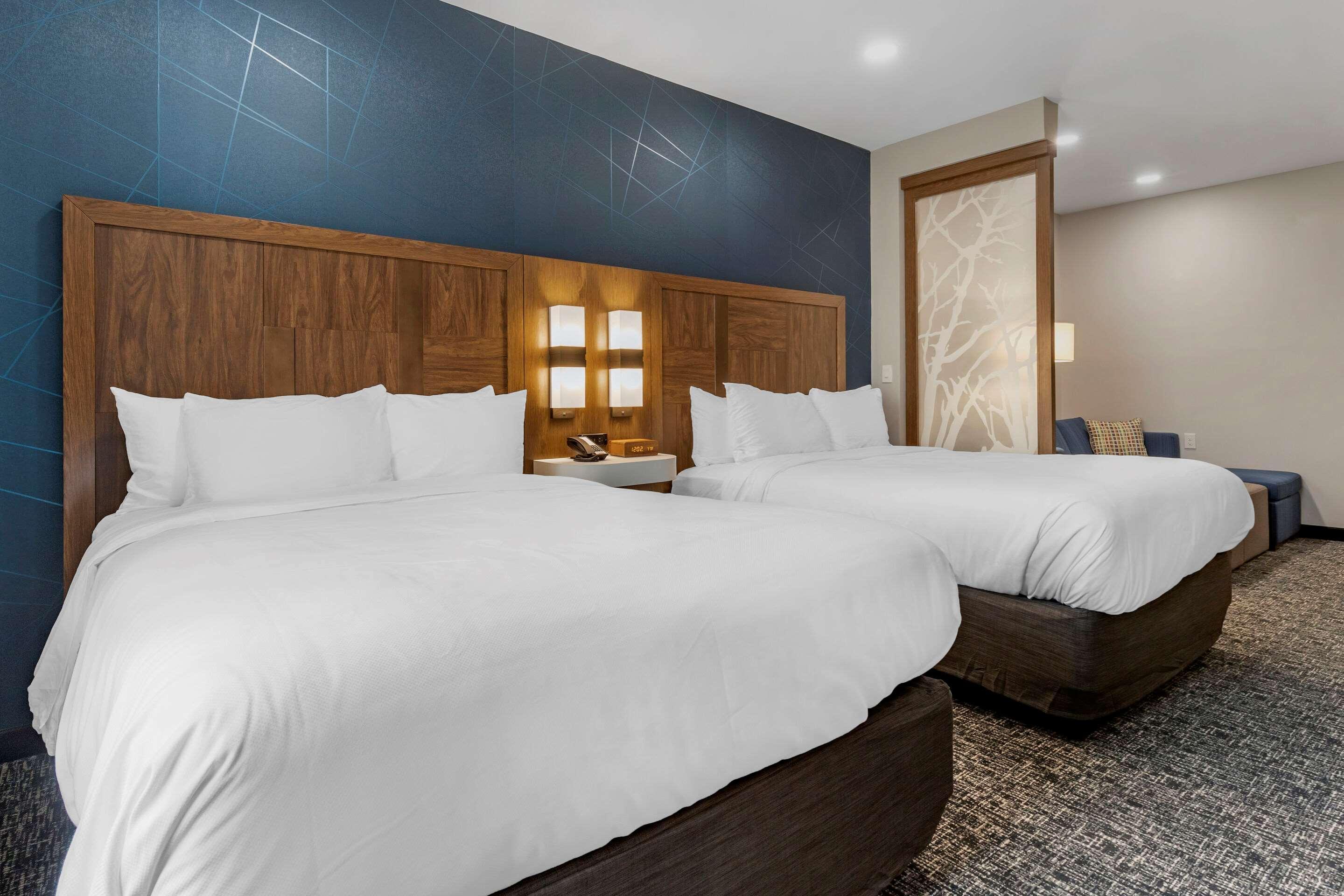 Comfort Suites Greenville Airport Εξωτερικό φωτογραφία